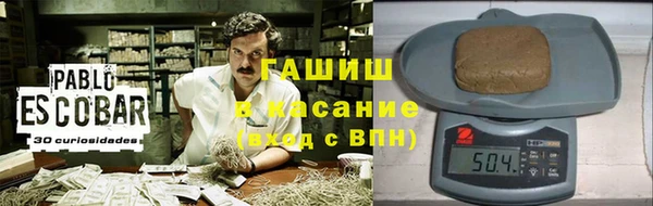 гидра Покачи