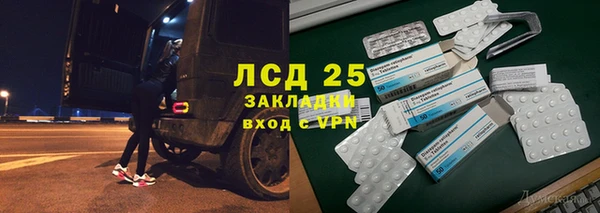 гидра Покачи