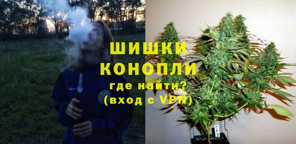 ПСИЛОЦИБИНОВЫЕ ГРИБЫ Покров