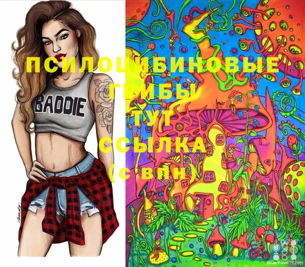 ПСИЛОЦИБИНОВЫЕ ГРИБЫ Покров