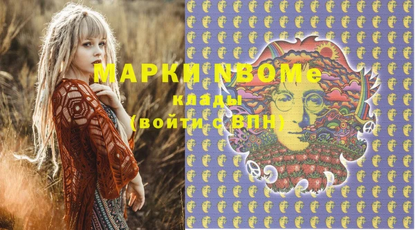 гидра Покачи