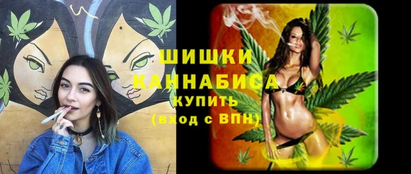 гидра Покачи