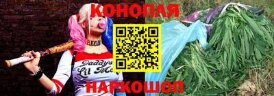сатива Кинель