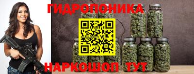 сатива Кинель