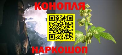 сатива Кинель