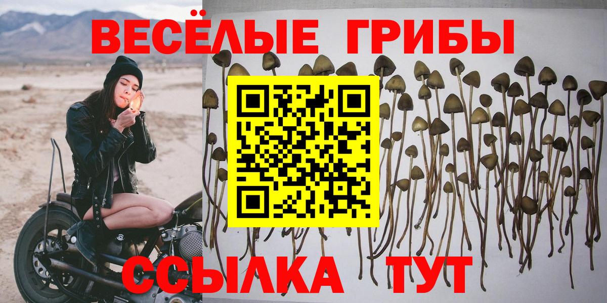 Псилоцибиновые грибы ЛСД Курчалой