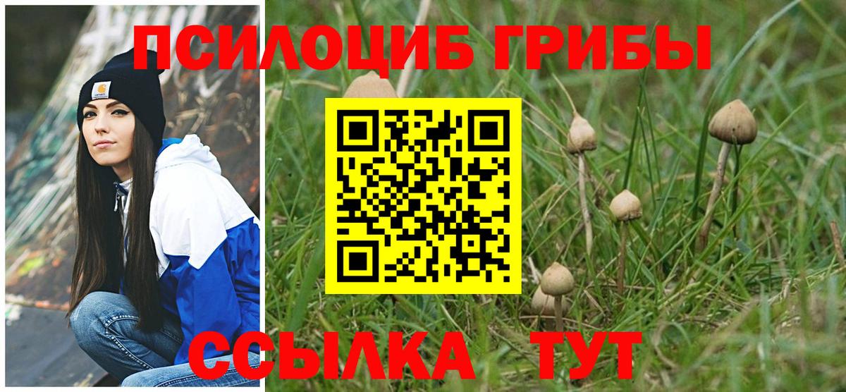 Каннабис Курчалой