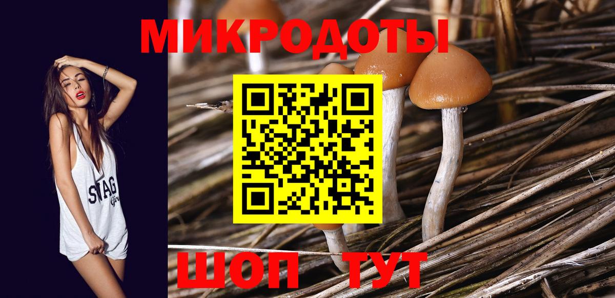 Псилоцибиновые грибы прущие грибы  цена   Курчалой  Вход с VPN 