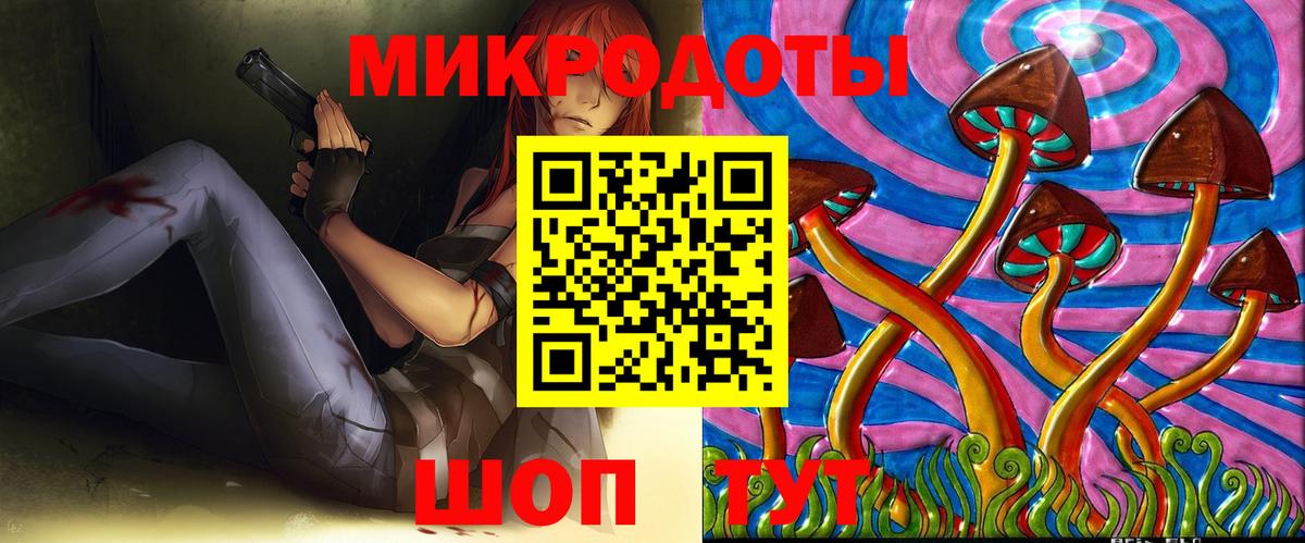 Галлюциногенные грибы прущие грибы Курчалой